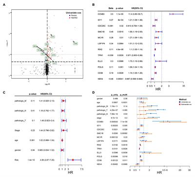 Identification and Validation of a Novel DNA Damage and DNA Repair Related Genes Based Signature for Colon Cancer Prognosis